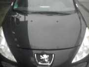 Motorhaube PEUGEOT 206+ (T3E) 7901 Q9