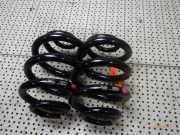 Federnsatz Hinterachse VW Transporter T5 Bus 2X GRAU / 1X ROSA
