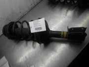 Federbein links vorne RENAULT Clio II (B) 8200662265