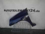 Kotflügel links vorne RENAULT Clio II (B)