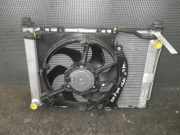 Kühlpaket RENAULT Clio III (BR0/1, CR0/1) 8200688390 8200688375