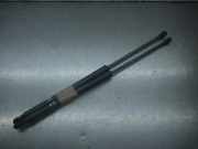 Heckklappendämpfer CITROEN C1 II B000877780