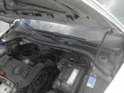 Windlauf SKODA Octavia II Kombi (1Z) 1Z1819415F