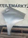 Tür links MERCEDES-BENZ A-Klasse (W169) A1697201105