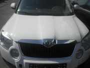 Motorhaube SKODA Yeti (5L) 5L0823031