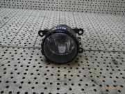 Nebelscheinwerfer links vorne RENAULT Grand Scenic II (JM) 8200074008