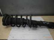 Federbein links vorne SKODA Fabia II (542) 6Q0413031BJ 3X ROT 2X BLAU