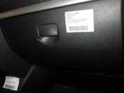 Handschuhfach RENAULT Clio III (BR0/1, CR0/1)