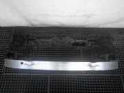 Frontmaske MERCEDES-BENZ A-Klasse (W169) A1696200434