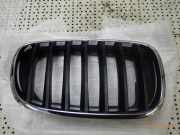 Kühlergrill rechts BMW X5 (E70) 5113-7171396 BMW
