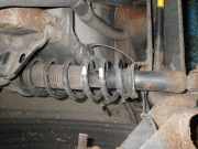 Federbein links hinten TOYOTA Corolla Verso (R1)