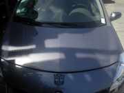 Motorhaube RENAULT Clio III Grandtour (R) 7751476113