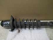 Federbein links hinten TOYOTA Corolla Liftback (E12)