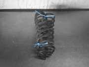 Feder hinten HYUNDAI i30 II Kombi (GD) 55350A 6760