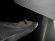 Stoßstange hinten OPEL Astra G CC (T98) Z269