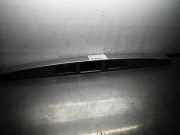 Kennzeichenleuchte HYUNDAI H-1 Cargo (TQ)