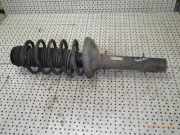 Federbein links vorne VW Golf IV (1J) 1J0413031AE