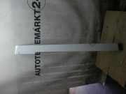 Blende Tür MERCEDES-BENZ Vito/Mixto Kasten (W639) A6396913308 ARKTIKWEISS A6396913308 ARKTIKWEISS 9147
