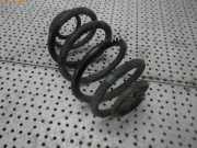 Feder hinten RENAULT Clio II (B)
