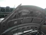 Motorhaube MERCEDES-BENZ A-Klasse (W169) A1698800057