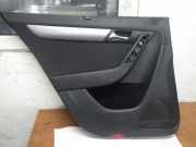 Türverkleidung links hinten VW Passat B7 (362) 3AE867211DP 3AE861333