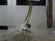 Türschloss rechts hinten MAZDA 3 (BL) BBM472310