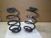 Federnsatz Hinterachse RENAULT Clio III (BR0/1, CR0/1) 1X ROT / 1X GELB