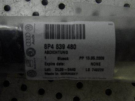 Dichtung für Türscheibe AUDI A3 (8P) 8P4839480