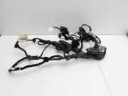 Ford S-Max II CK 15-19 Kabelbaum f?r T?r und Fensterheber Rechts Vorne