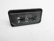 Tesla Model X 90D 15-21 Kennzeichenleuchte