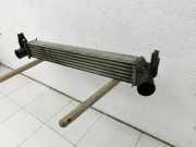 Seat Ibiza IV 6J 08-12 Tdi 1,6 77KW Motorkühlung Kühler Zusatzkühler Wasserkühler