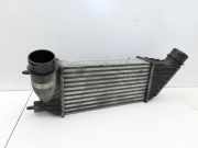 Fiat Scudo Jumpy II 07-16 JTD 2,0 103KW Ladeluftkühler Kühler