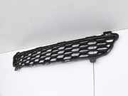 Ssangyong Rexton W RJ 12-17 Lufteinlassgitter für Stoßstange Stoßfänger Vorne