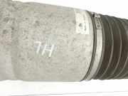 Porsche Cayenne 9PA 07-10 Luftfeder Stossdämpfer Federbein Hinten Links