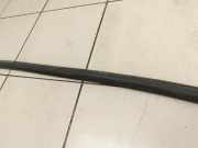 VW EOS 1F 06-10 Dichtung für Tür Links Vorne