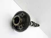 Hyundai IX35 LM 09-13 CRDI 2,0 D4HANockenwelle Auslass