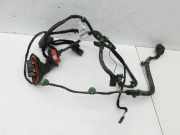 Audi A4 B7 8H Cabrio 06-09 Kabelbaum Tür und Fensterheber Links Vorne