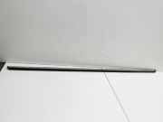 Mini Clubman R55 One 07-14 Leiste Scheibendichtung für Tür Links Vorne