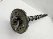 BMW E61 525d 04-07 2,5d 130KW M57/TU 256D2 Nockenwelle Auslass