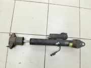 Mercedes W164 ML420 05-09 Stossdämpfer Rechts Hinten