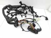 BMW E81 1er 120d 07-12 2,0d 130KW Motor Kabelbaum Motorkabelbaum Leitungssatz