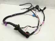Lexus RX 400h MCU 06-09 Kabelbaum f?r T?r und Fensterheber Rechts Vorne