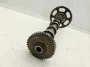 VW Touareg 7P 10-14 TDI 3,0 180KW CRCA Nockenwelle Einlass Rechts 1-3