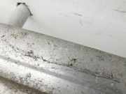 Audi A4 8E B7 04-08 Stoßstangenträger Stoßfängerträger Querträger Vorne