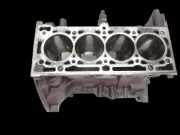 Renault Scenic III JZ 09-12 1,6 81KW K4M858 Motorblock für Motor