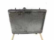 Opel Crossland X P17 17-20 TD 1,6 88KW Wasserkühler Kühler