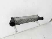 BMW E87 1er 04-07 2,0d 120KW Ladeluftkühler Kühler