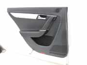 VW Passat 3C B7 10-15 Kombi Türverkleidung Türpappe Links Hinten