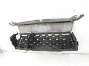 Dacia Duster II HM 18-21 Lufteinlassgitter für Stoßstange Stoßfänger Vorne