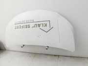 Nissan NV200 09-21 Motorhaube Haube Frontklappe Vorne